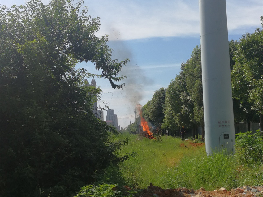 圖片3_副本.png 圖片3_副本.png